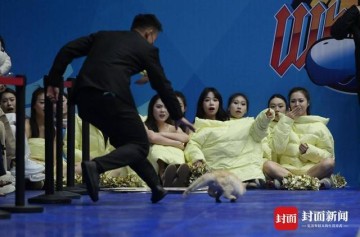 CBA赛场“意外”：两只猫咪闯入捣乱，保安上演爆笑追逐战